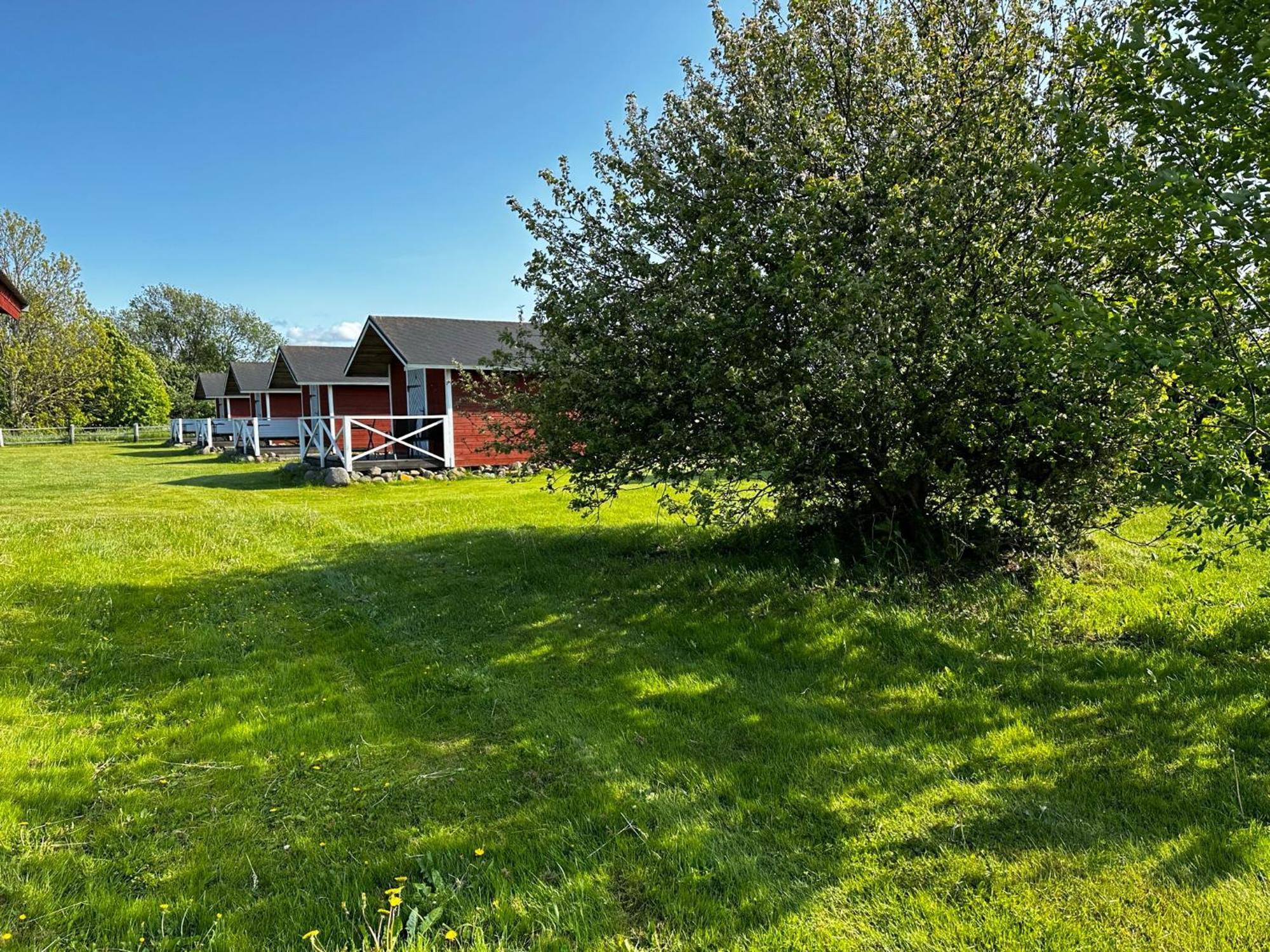 Ratturi Talu Campingplatz *